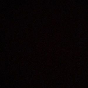 Meet your Posher, Annie